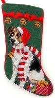 Jack Russel